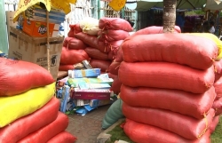 ve ca mau nhat dinh phai cham tay vao cot moc cuc nam cua to quoc