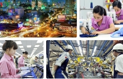 Cần coi trọng chất lượng tăng trưởng kinh tế Cần coi trọng chất lượng tăng trưởng kinh tế