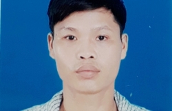 toi ac cua dua con voi nguoi bo nat ruou