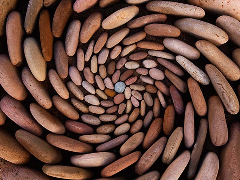 da va nghe thuat sap dat