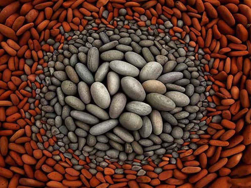 da va nghe thuat sap dat