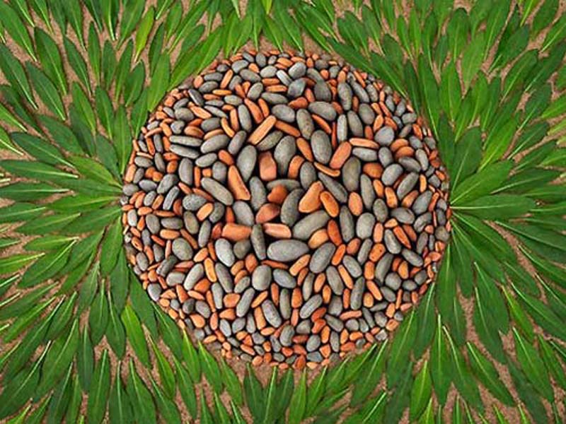 da va nghe thuat sap dat