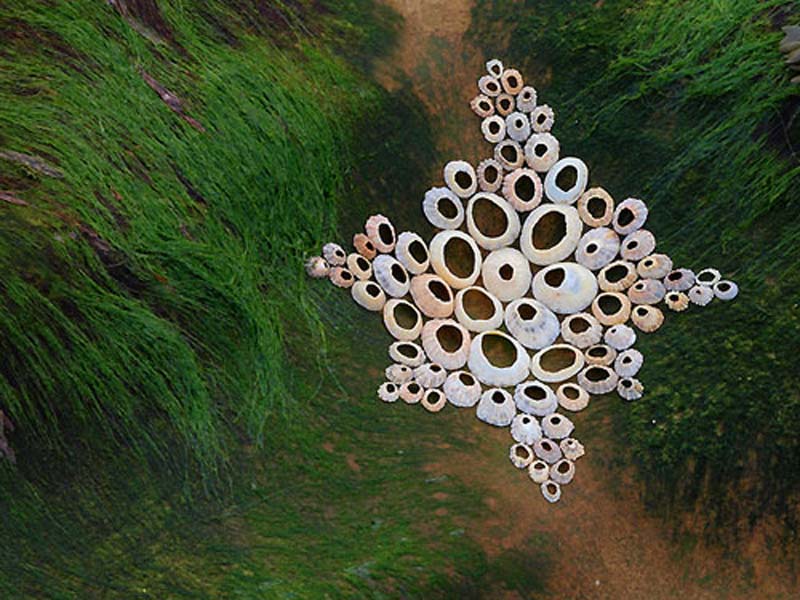 da va nghe thuat sap dat