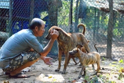nguoi me bao ton cho phu quoc