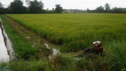 cap doi chong kem vo 13 tuoi o thanh hoa hanh phuc don con trai dau long