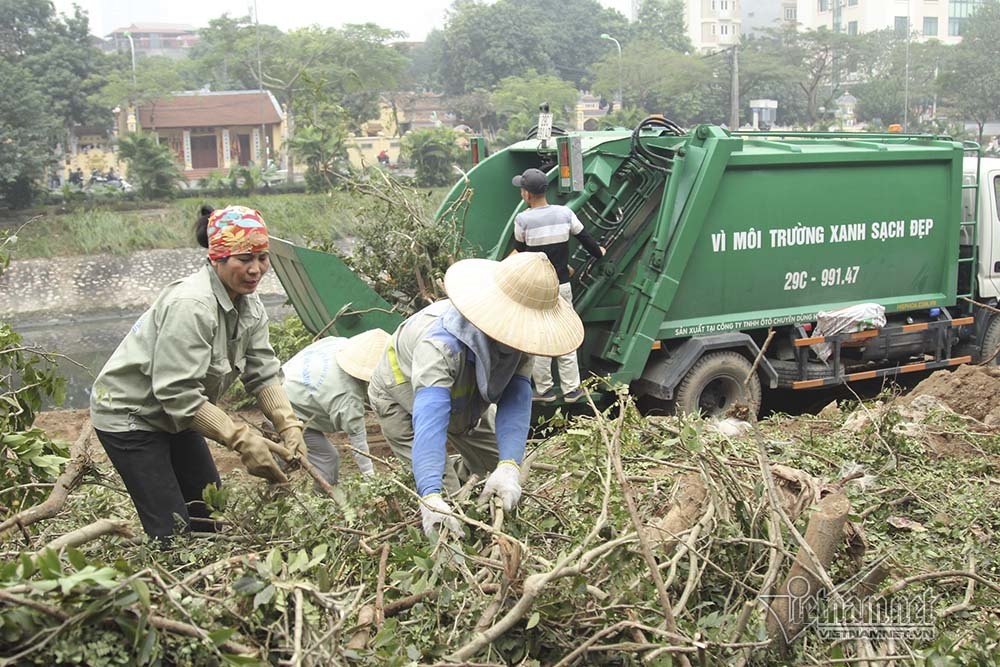 ha noi khai tu hang cay dep nhat ven song to lich