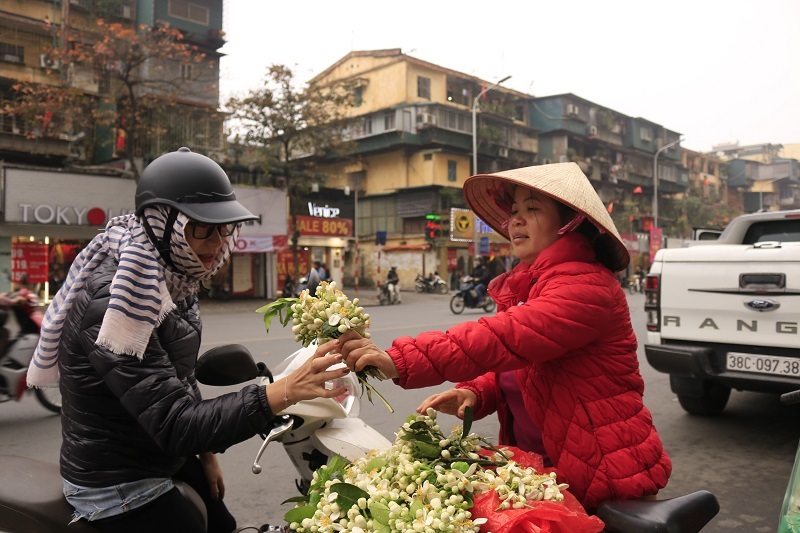 dao phai mai tan dan ha thanh choi hoa bay dia nua trieukg