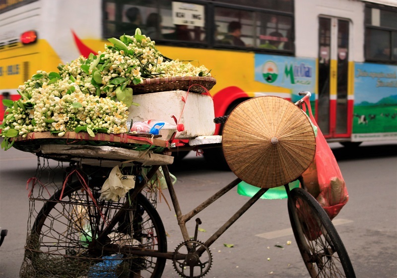 dao phai mai tan dan ha thanh choi hoa bay dia nua trieukg