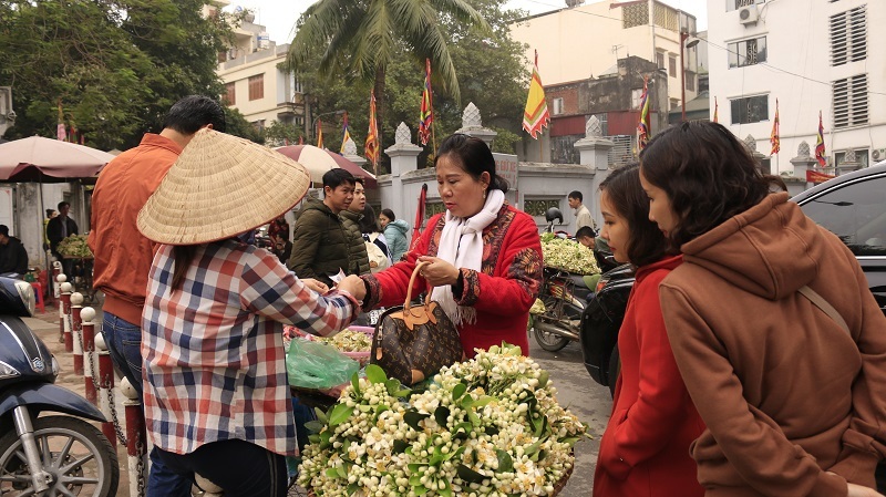 dao phai mai tan dan ha thanh choi hoa bay dia nua trieukg