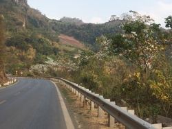 ha noi khoi cong tuyen duong tren cao 51km tong von 9500 ty dong