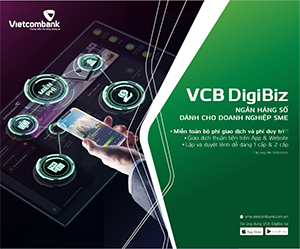 vietcombank-digibiz-300x250