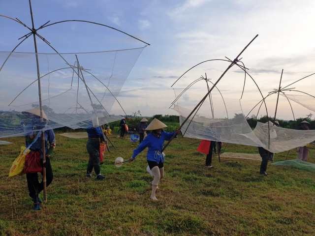 ha tinh hang tram nguoi tham gia le hoi bat ca o nghi xuan