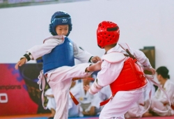 Hơn 100 võ sinh Hà Nội thi thăng đẳng Taekwondo quốc gia