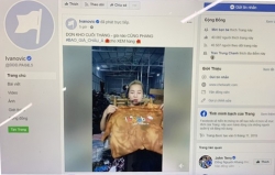 Cựu sao Chelsea Ivanovic bị hack Facebook, người Việt livestream bán hàng
