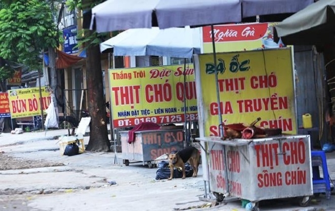 Hải Dương sửa yêu cầu 'người dân ăn thịt chó, mèo phải làm xét nghiệm COVID-19' - 1