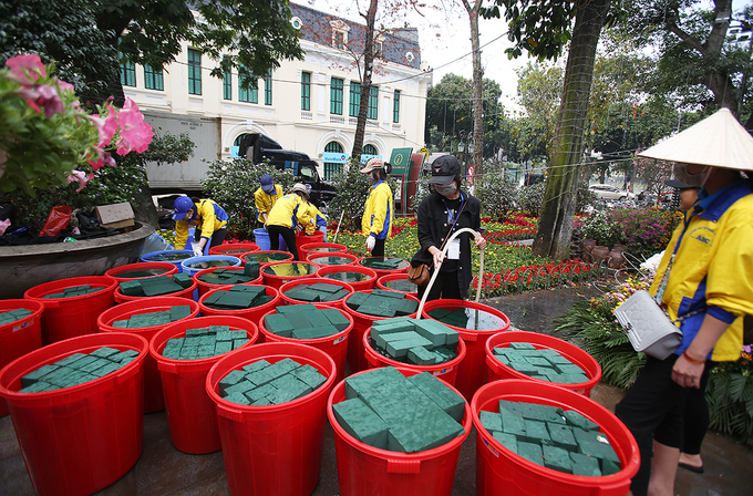 10000 canh hoa anh dao khoe sac giua ha noi