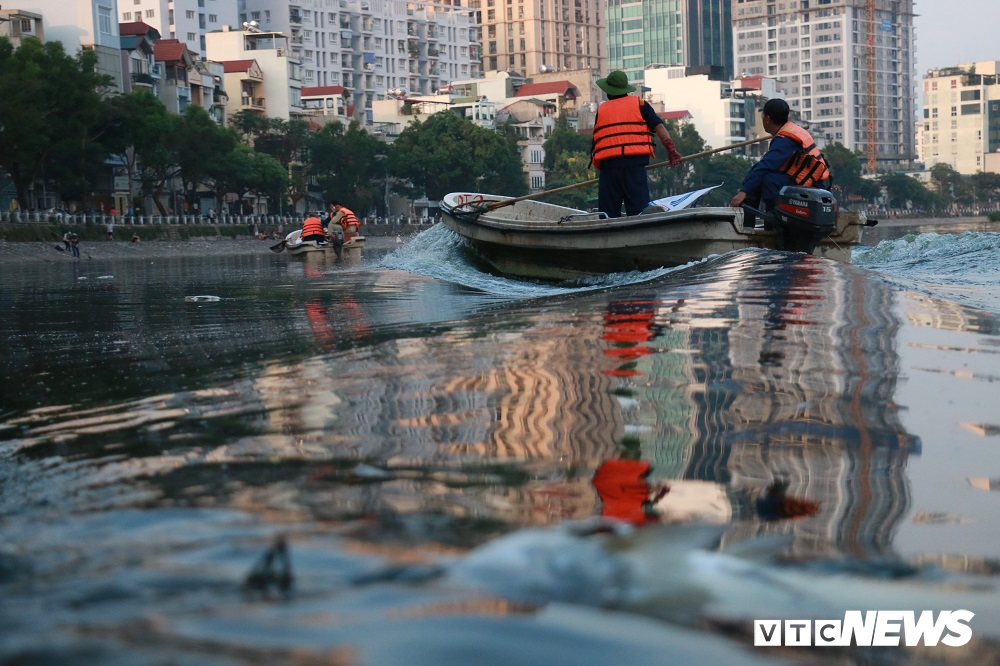 anh ca chet noi trang mat ho hoang cau ha noi