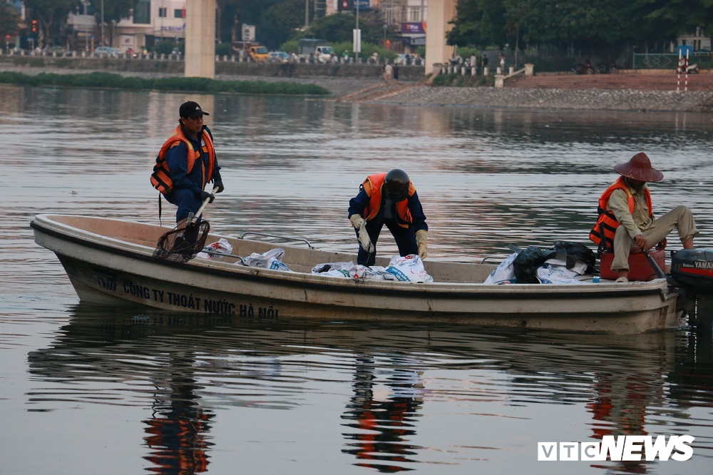 anh ca chet noi trang mat ho hoang cau ha noi