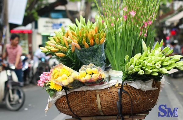 thu nong nan tren nhung ganh hoa