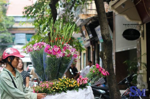 thu nong nan tren nhung ganh hoa