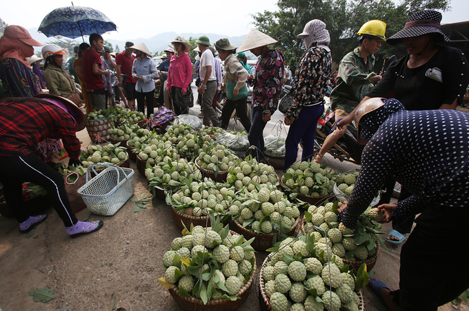 cho na vung bien ai vao vu