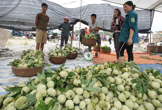 cho na vung bien ai vao vu