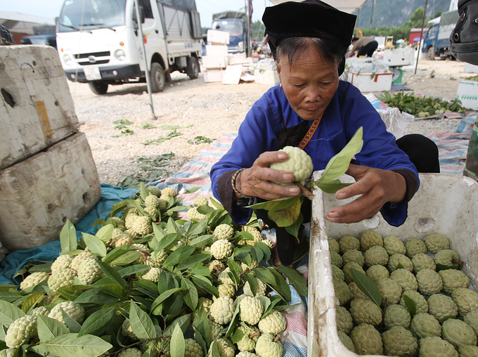 cho na vung bien ai vao vu