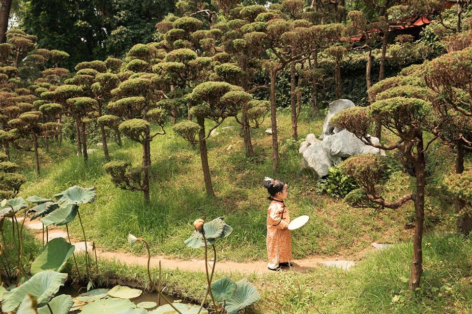 tieu phi tan nguy an lac phien ban nhi khien dan mang dieu dung vi qua de thuong