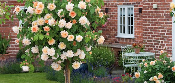 Cú sốc người mẹ trẻ sau phát hiện của con gái đầu lòng cu soc nguoi me tre sau phat hien cua con gai dau long