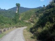 giai ma cai chet cua danh tuong bi quan cong hien thanh bao thu