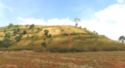 le hoi hoa da quy hang ngan du khach that vong vi chi thay hoa tan lui