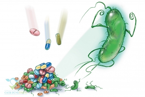 sieu vi khuan khang thuoc khang sinh noi dau xot cua cac bac si