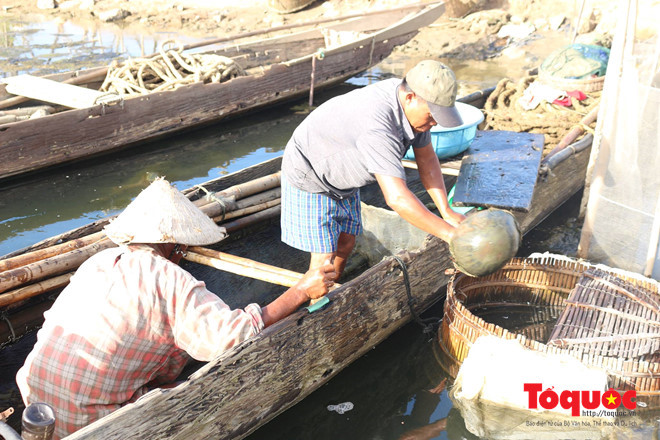 doc nhat vo nhi nghe di tu san san vat tien vua