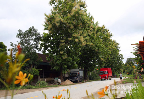 nhung khoanh khac thu phu quy