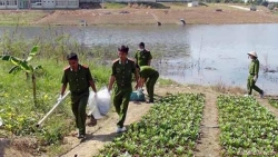 bac sy giet nguoi tinh mang thai de khong bi vo bo