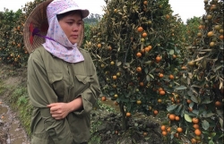 buoi tac hoanh hanh dan lang dien dau dau doi pho