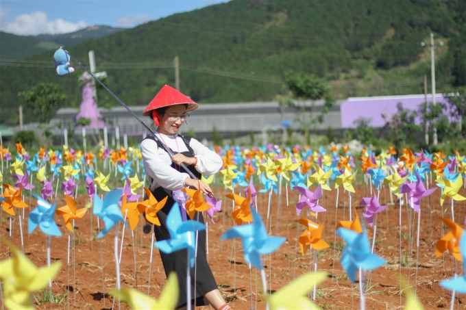 canh dong hoa du khach tha ho song ao o da lat