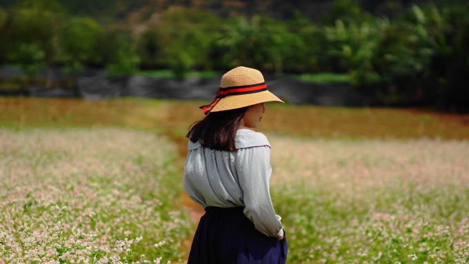 canh dong hoa du khach tha ho song ao o da lat