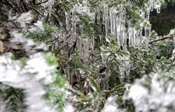 Thực hư thông tin Lạng Sơn cấm ô tô lên đỉnh Mẫu Sơn