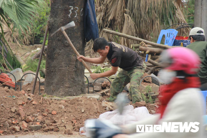 anh cong nhan gap rut di doi hon 400 cay xanh tren pho thu do truoc tet nguyen dan