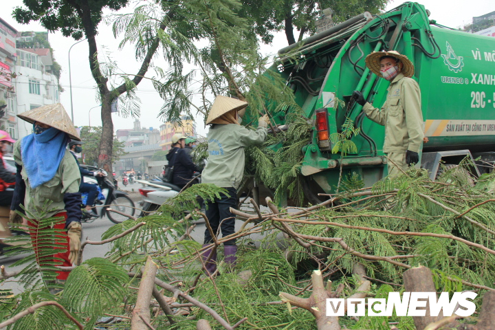 anh cong nhan gap rut di doi hon 400 cay xanh tren pho thu do truoc tet nguyen dan