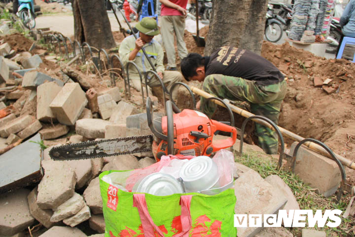 anh cong nhan gap rut di doi hon 400 cay xanh tren pho thu do truoc tet nguyen dan