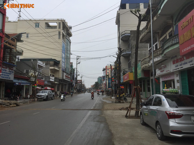 vu cay trong duoi long duong o quang ninh lo bay