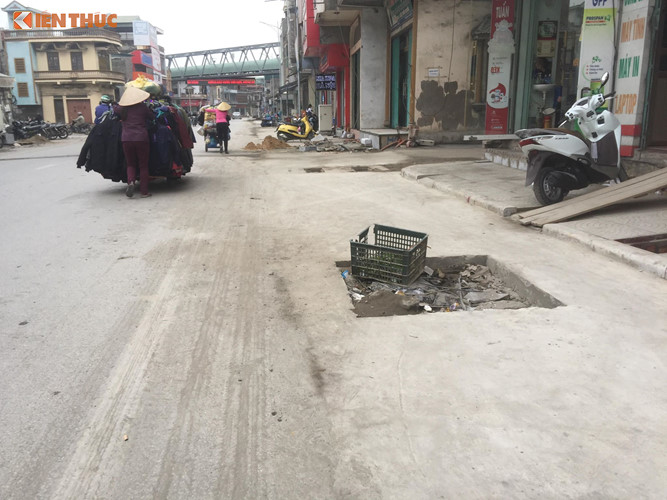 vu cay trong duoi long duong o quang ninh lo bay