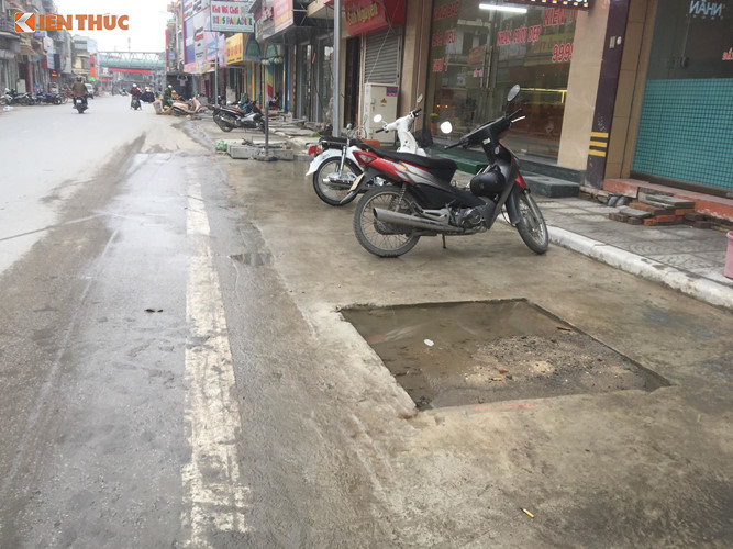 vu cay trong duoi long duong o quang ninh lo bay