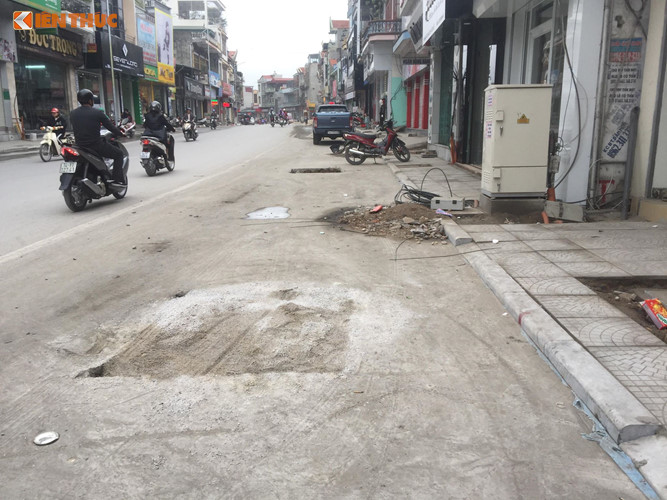 vu cay trong duoi long duong o quang ninh lo bay