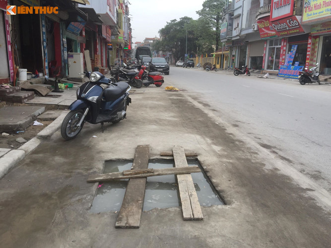 vu cay trong duoi long duong o quang ninh lo bay