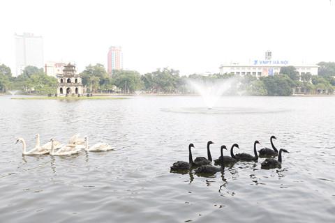 thien nga ho guom bo bao sang ti nan ho thien quang