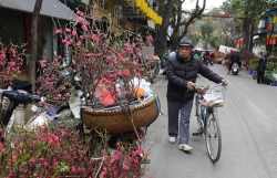 thuong tet 3 trieu toi van lo tuom tat cho gia dinh