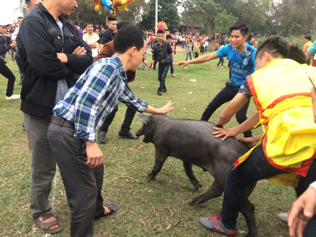 phu tho hang tram nguoi vay bat lon ong cau lay hen dau xuan